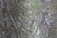 Darvillshill fibreglass roof work